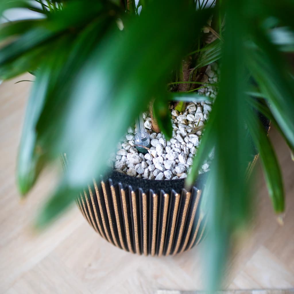 Jardinière Groove 43x41 cm noir et doré