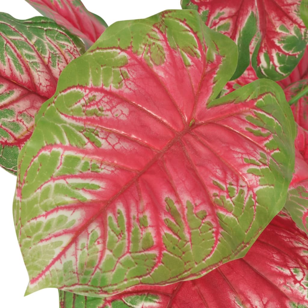 Plante Vert et Rouge