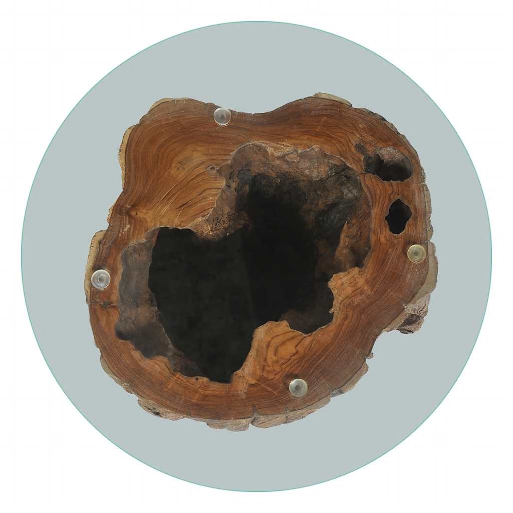 Table basse Teck en Verre