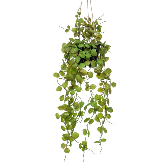 Plante artificielle suspendue Ceropegia en pot
