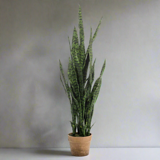 Plante artificielle Sanseveria en pot 84 cm